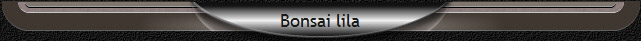 Bonsai lila